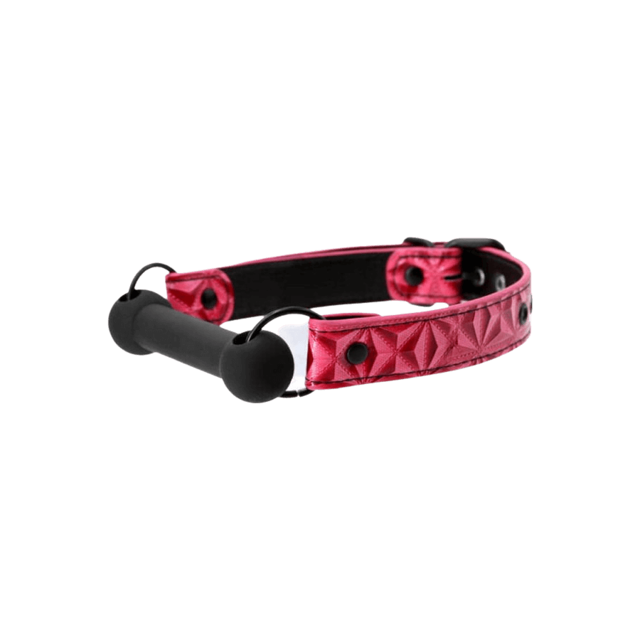 Image of Sinful Bar Gag Pink